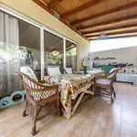 Apartments Olivija